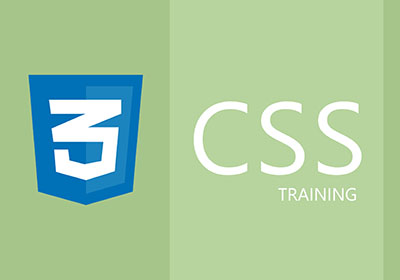 CSS Training in Gurgaon
